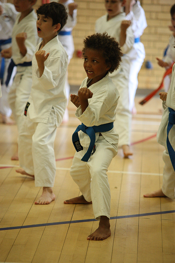 Holiday karate camps